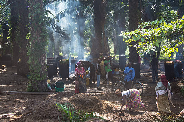 Field research in Rumonge
